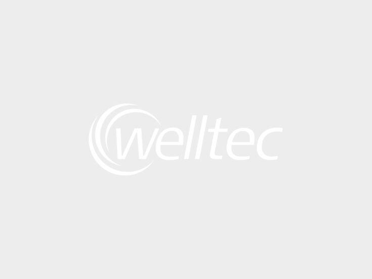 Vorschaubild der Datei welltec-logo_weiss-transparent.png